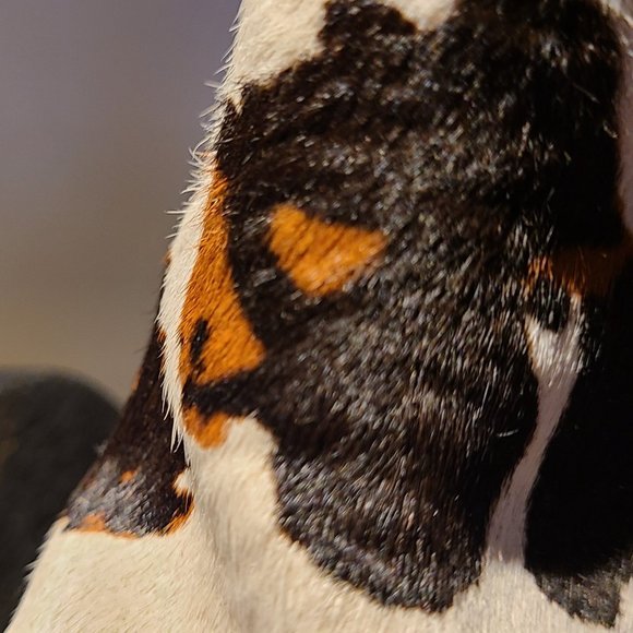 Cow Print Animal Chelsea Boots Booties ALDO - Picture 9 of 12